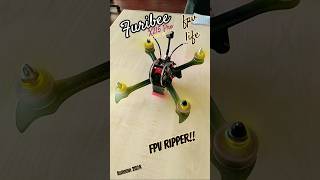 FPV RIPPER Furibee X215 Pro 2206 2600KV Brother Hobby Motors KAKUTE F4 DALPROP 5045 ROTORRIOT [upl. by Secilu]