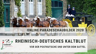 Thementag 1 RheinischDeutsches Kaltblut vor der Postkutsche und unter dem Sattel [upl. by Arlene]