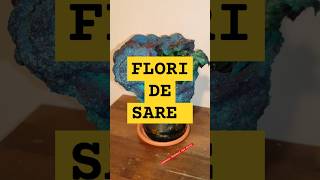 FLORI DE SARE [upl. by Ophelie194]