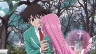 rosario vampire AMV  all about us [upl. by Einor31]