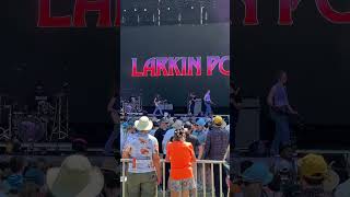 Larkin Poe live from Bonnaroo [upl. by Reinaldos974]