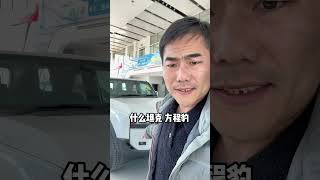 丰田 特斯拉 网上没赢过的都是外资 [upl. by Elianore]