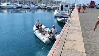 Balenottera morta a Muggia tecnici al lavoro a Porto San Rocco [upl. by Naoj]