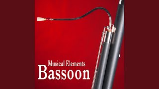 Climbing up Bassoon Accent [upl. by Ettolrahs]