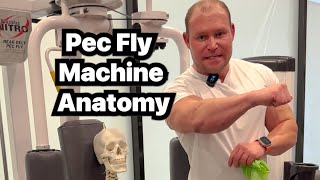 Pec Fly Machine Anatomy How to Add Strategic Variation to Your Chest Workouts [upl. by Deerc647]