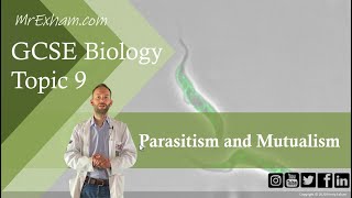 Parasitism and Mutualism  GCSE Biology 91 94 [upl. by Naget]