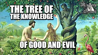 Mystery School Lesson 43 The Tree of the Knowledge of Good amp Evil [upl. by Sirob]