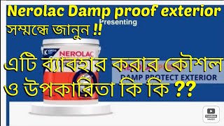 How to use Nerolac damp protect exterior The complete guide [upl. by Fulton]