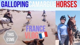 Horse Riding in the Camargue Provence France Travel Vlog  This Esme [upl. by Eesak186]