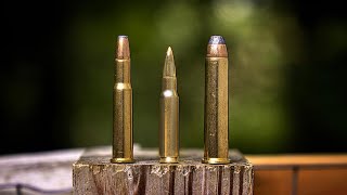 Best LeverAction Cartridges of all Time [upl. by Channing]