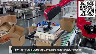 Automatic packing and palletizing packaging line with robot arm [upl. by Arie454]