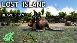 Double Beaver Tame and Base Building  Ark Lost Island Ep 10 Ark Survival Evolved Gameplay [upl. by Elsi]