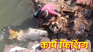 cyprinus carp fishing शिफरन मासे पकडणे tigerfishing [upl. by Ros]