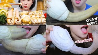 Geoduck Asmr Compilation [upl. by Htebazie958]