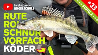 Angelausrüstung zum Zanderangeln mit dem Gummifisch 🔥🎣👍🏼 [upl. by Aneled]