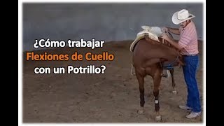 ¿Como Arrendar un caballo V3 Flexión del Cuello con el Greñas [upl. by Odnomra]