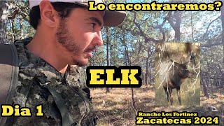 Rancho los Fortinez Cazando un Elk [upl. by Drofliw897]