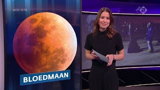 Amber Brantsen eerste Nieuwsuur uitzending 31 januari 2018 NOS Journaal presentatrice NPO2 Twan Huys [upl. by Lavoie834]