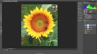 Linked Images between Illustrator CS6 and Photoshop CS6 [upl. by Dianthe]