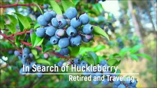 In Search Of Huckleberry [upl. by Teeniv]