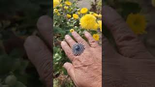 Terrace garden Winter season bloom  Yellow Chrysanthemum flower at Rooftop nature garden shorts [upl. by Elkcim]