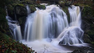 Die Triberger Wasserfälle nach Starkregen im Schwarzwald im Oktober 2022 [upl. by Ennael]