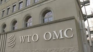 What is the WTO and how does it work [upl. by Yellah30]