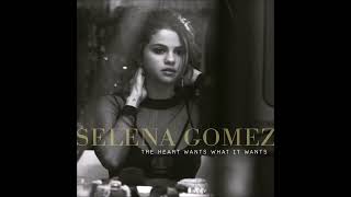 selena Gomez  the heart wants what it wants [upl. by Netniuq454]