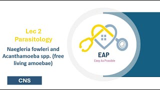 Lec 2  Parasitology  Naegleria fowleri and Acanthamoeba spp free living amoebae  CNS 42 [upl. by Oramlub]