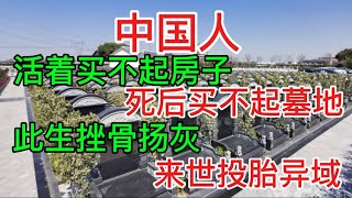 上海男子把親爹骨灰扔垃圾桶遭官媒痛批“不孝”，大陸網友紛紛留言吐槽：墓地76萬一平米，20年後不續費還要被刨墳 [upl. by Nisior888]