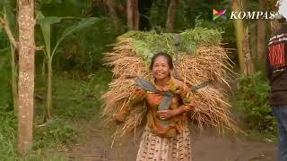 Klik Arbain Foto Human Interest Jembatan Pundong KOMPAS TV [upl. by Cornall]