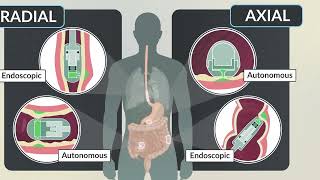 Cephalopodinspired jetting for gastrointestinal drug delivery [upl. by Airehc]