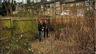 Japanese knotweed clip from Sarah Beeny TV show [upl. by Yroffej]