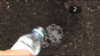 How To Test Soil PH [upl. by Sup499]