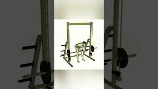 Smith machine row motivation fitness smithmachine gym sports workout back [upl. by Laughlin]