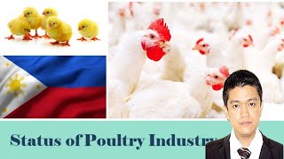 POULTRY 1  Status pf Poultry Industry in the Philippines  Module 2 [upl. by Cohbert]