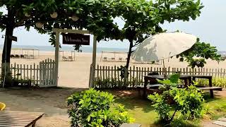 Buena Vida beach resort  Morjim Goa [upl. by Jo364]