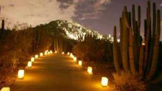 Desert Botanical Gardens Luminarias [upl. by Zeph]