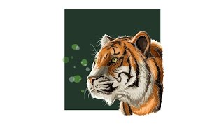 Time Lapse Adobe Illustrator  tiger vector painting illustration [upl. by Melisse]