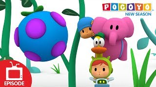 🍇 Bumbleberry Surprise S4 EP12  Pocoyo English  Cartoons for Kids [upl. by Unam16]