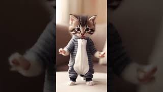 Cat dance trend dieunhaylaixemoto meow funnydance catdance dogdance petdance animaldance [upl. by Dranrev761]