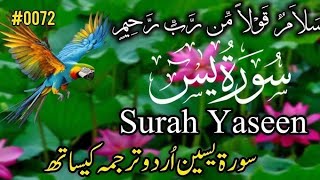 🔰Surah Yaseen Shareef🥀 Ep 286 سورۃ یٰس ❤QariVasim Ahmad [upl. by Marin]