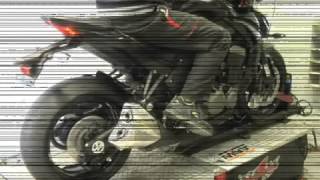 KAWASAKI Z1000 2014  DOUBLE GUN [upl. by Eiramrebma]