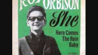 Roy Orbison  She 1967 [upl. by Leelah646]