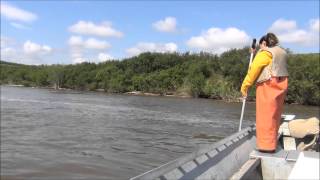 Dipnetting Salmon on the Yukon River 2013 [upl. by Benson]