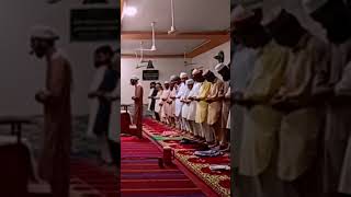 Namaz Taraweeh tellawat quran vairlvidoe youttube 2024 [upl. by Sheba]