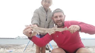 Sea Fishing Holyhead Breakwater July 23  Family fun  Mini Species Hunting [upl. by Crifasi]