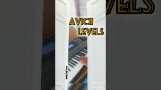 Levels  Avicii on piano [upl. by Nishi]