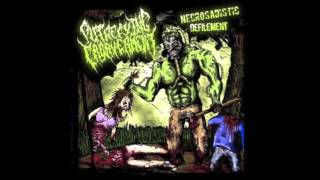 Putrefying Cadaverment  Necrosadistic Defilement Full Album 2008 HD [upl. by Brendis]