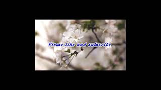 MINAHAL KITAI Loved You Tagalog Song wEnglish Subtitles By Michael Laygo [upl. by Luann]